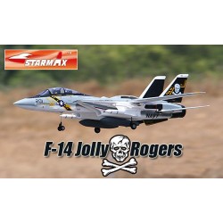 F-14 Tomcat Jolly Rogers 6CH Twin EDF Top Gun RC Straaljager RTF