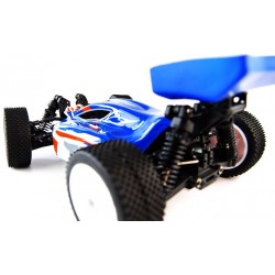 Fire Wolf Brushless RC Buggy